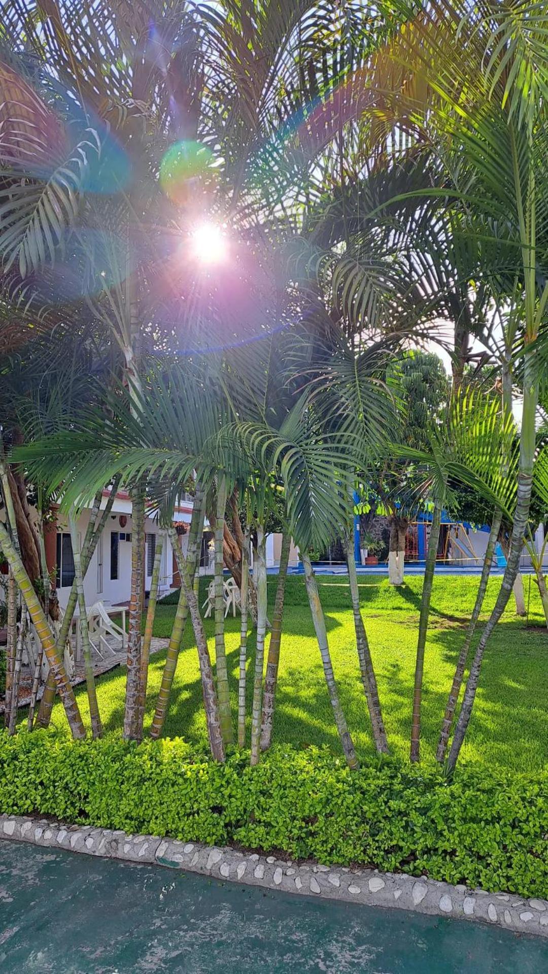 Hotel Quinta Paraiso Cocoyoc Dış mekan fotoğraf