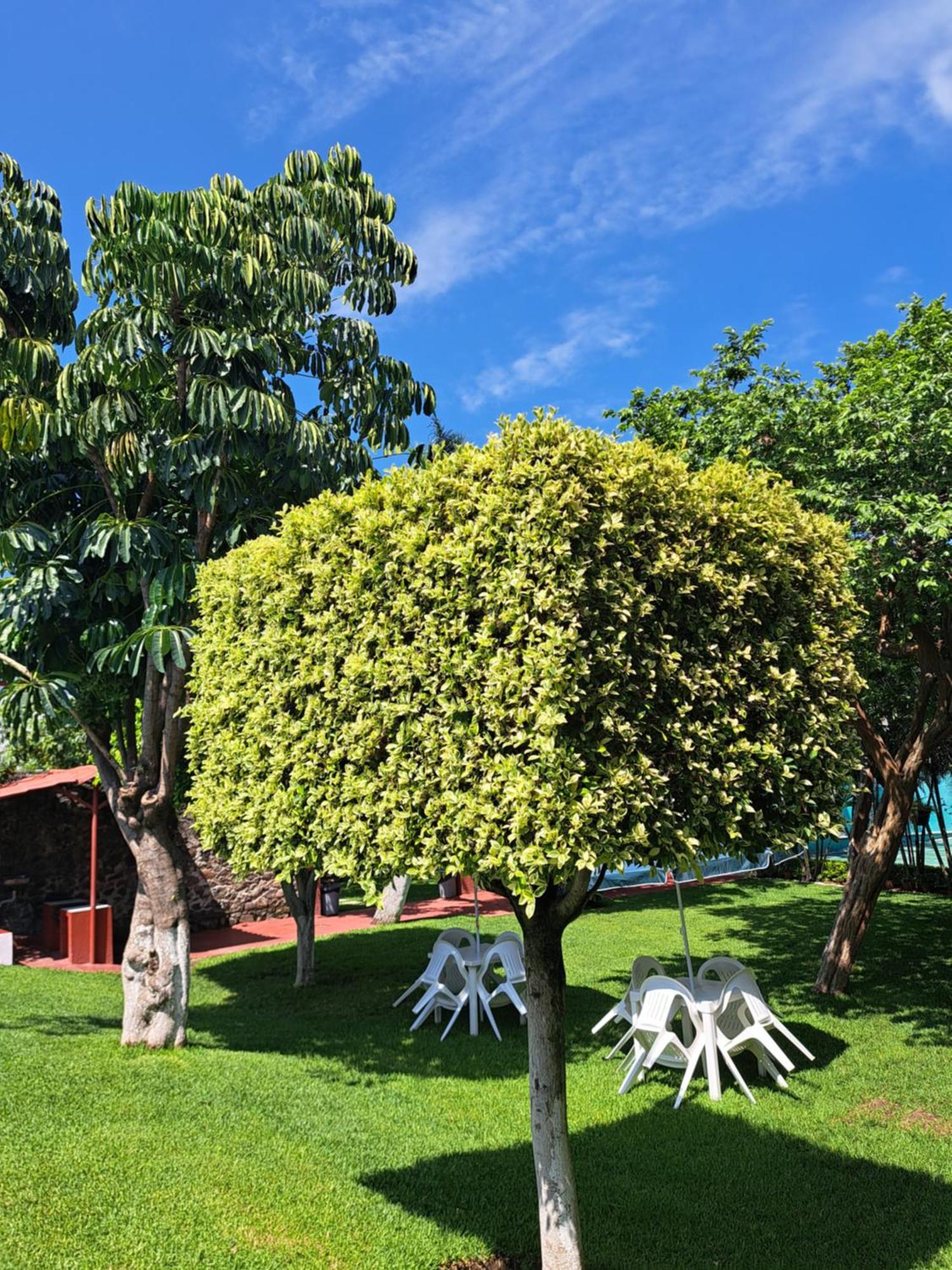 Hotel Quinta Paraiso Cocoyoc Dış mekan fotoğraf